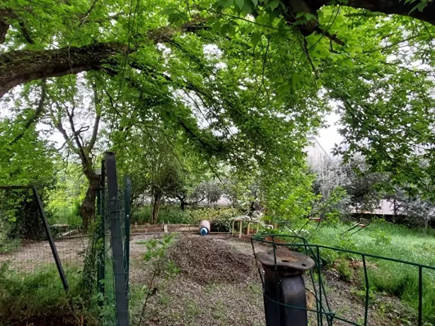 Immagine 2 di Terreno residenziale in vendita  a San Miniato