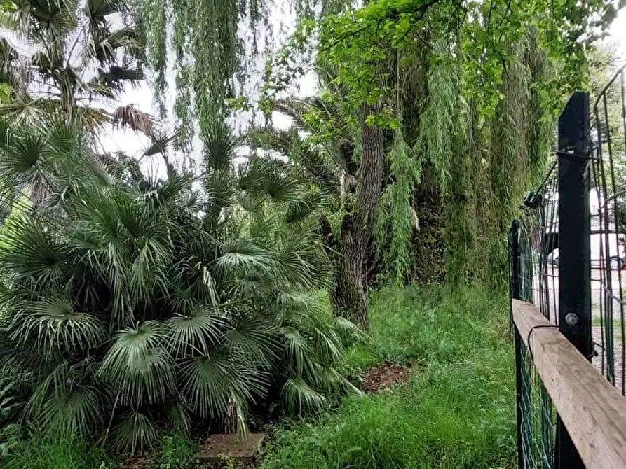 Immagine 6 di Terreno residenziale in vendita  a San Miniato