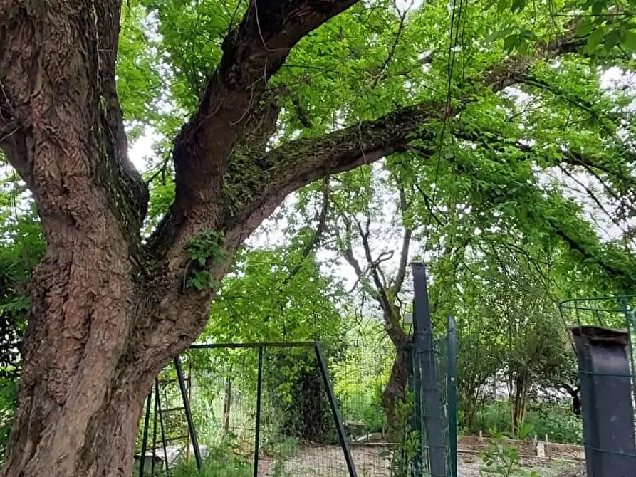 Immagine 7 di Terreno residenziale in vendita  a San Miniato