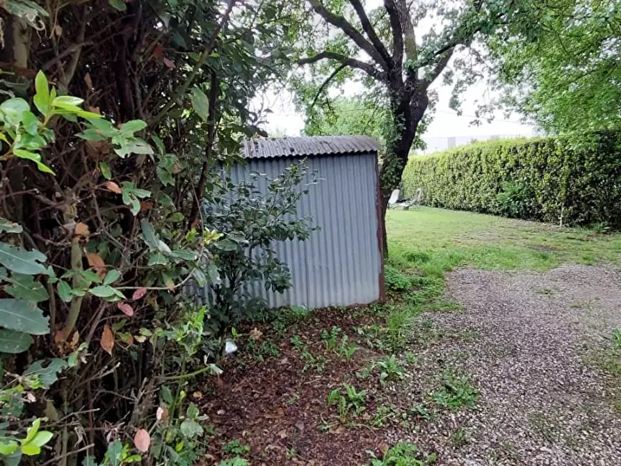 Immagine 3 di Terreno residenziale in vendita  a San Miniato