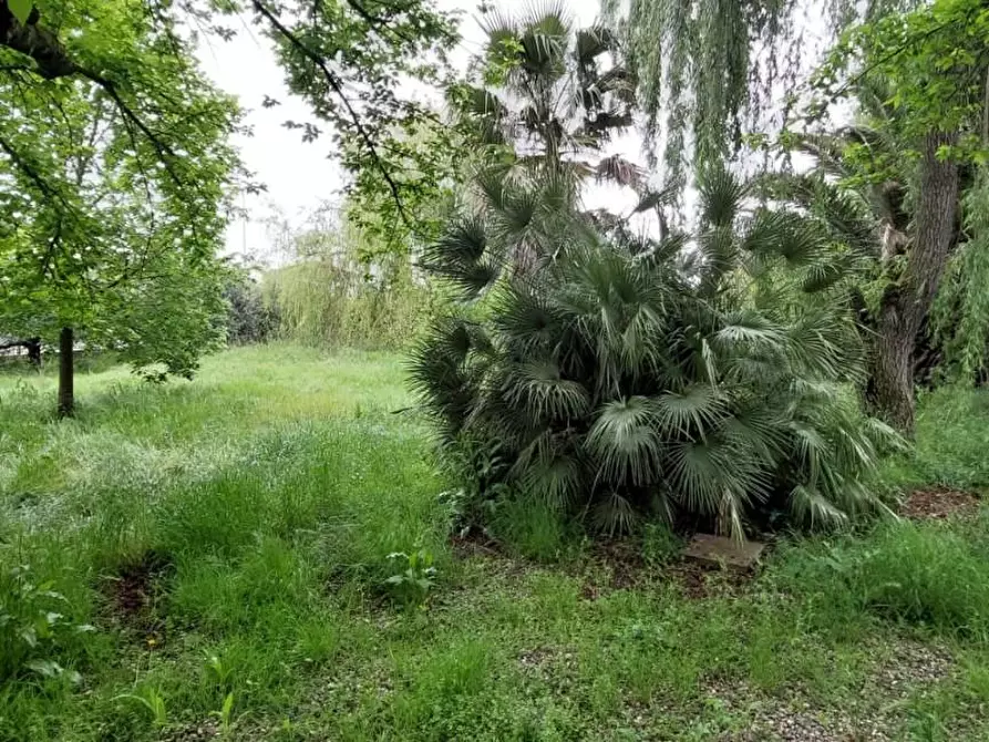 Immagine 5 di Terreno residenziale in vendita  a San Miniato