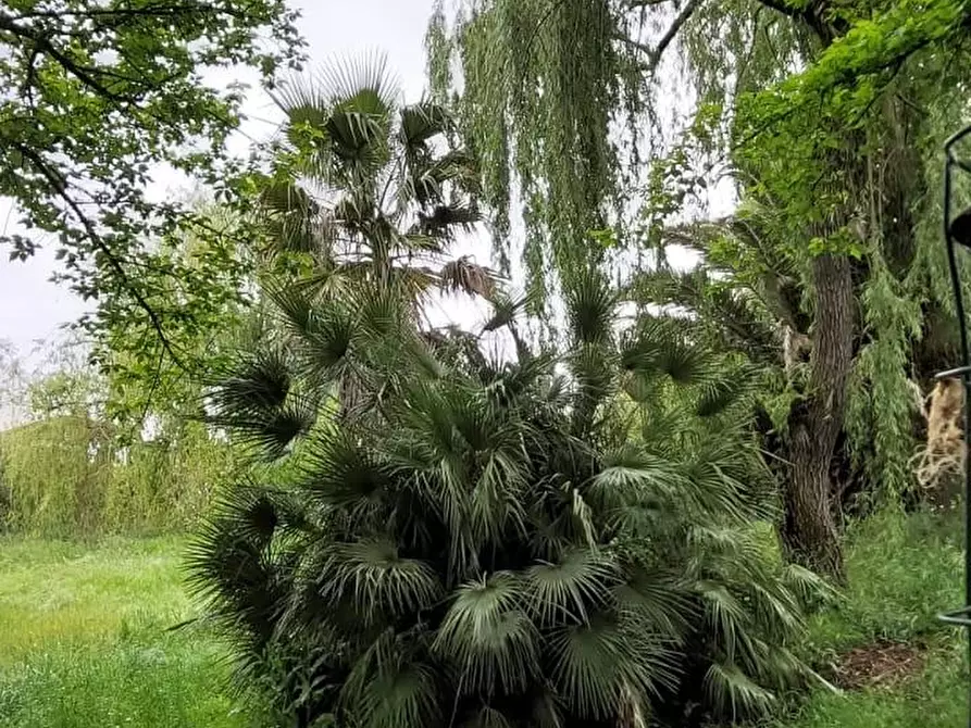 Immagine 4 di Terreno residenziale in vendita  a San Miniato