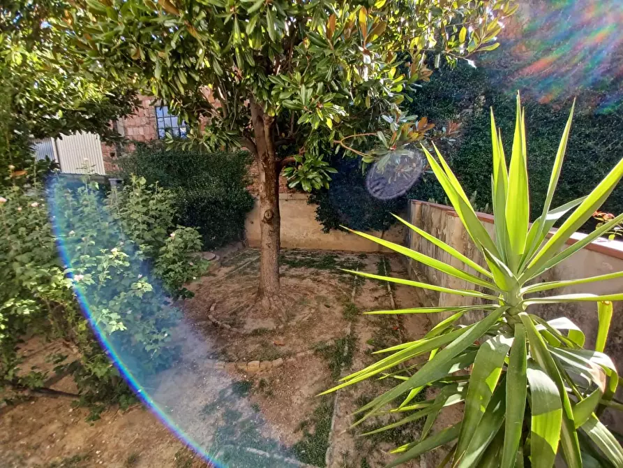 Immagine 20 di Terratetto in vendita  a Empoli