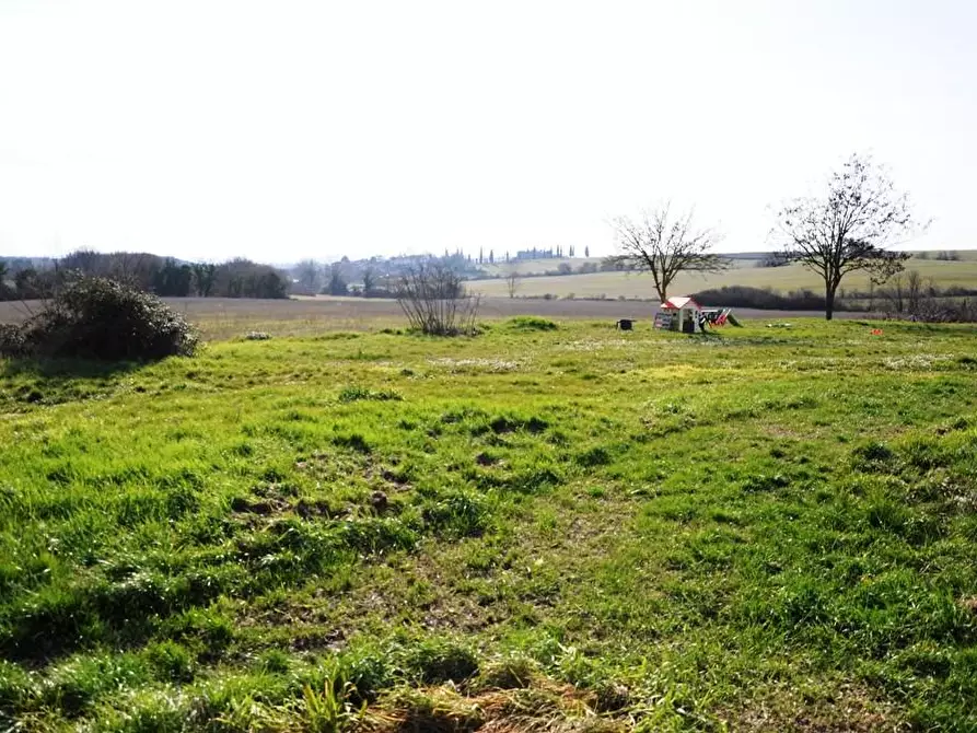Immagine 20 di Casa colonica in vendita  a Monteriggioni