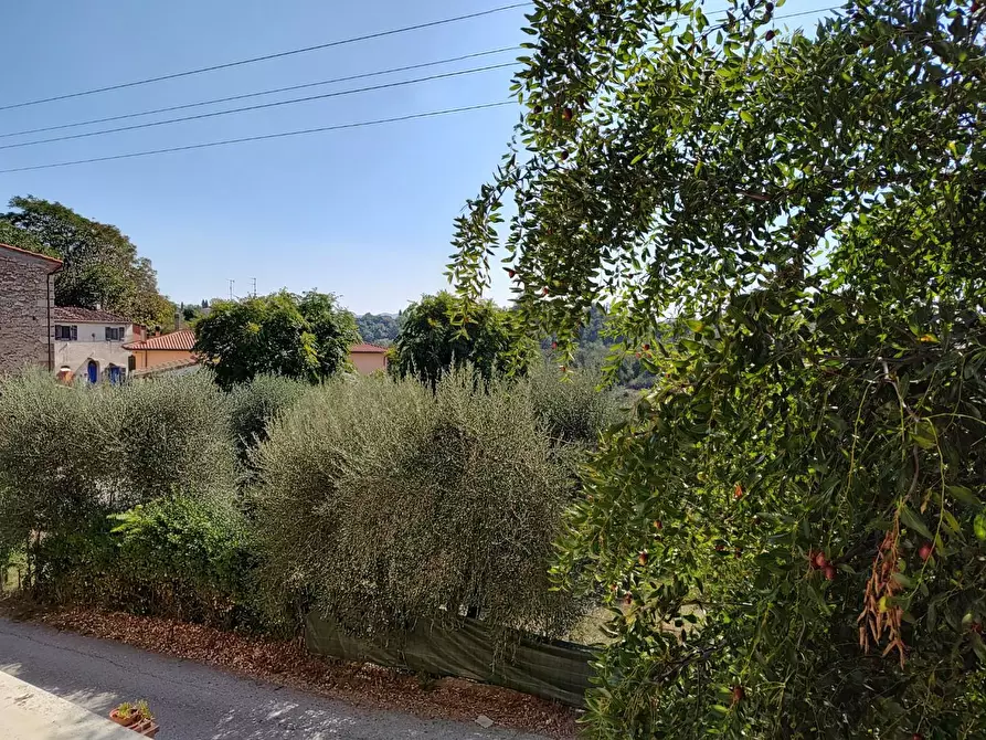 Immagine 2 di Appartamento in vendita  a Casciana Terme Lari