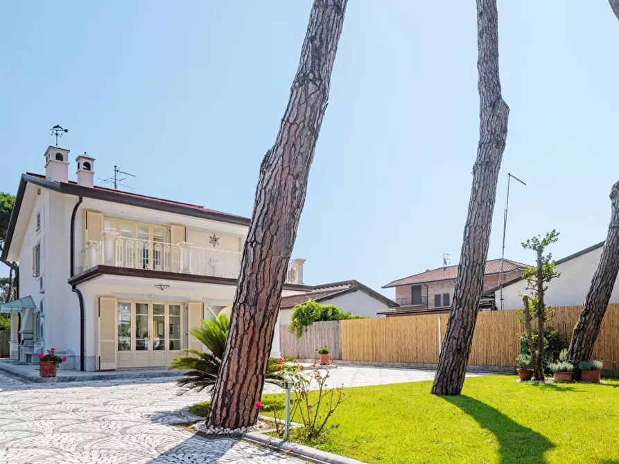 Immagine 81 di Villa in affitto  a Forte Dei Marmi