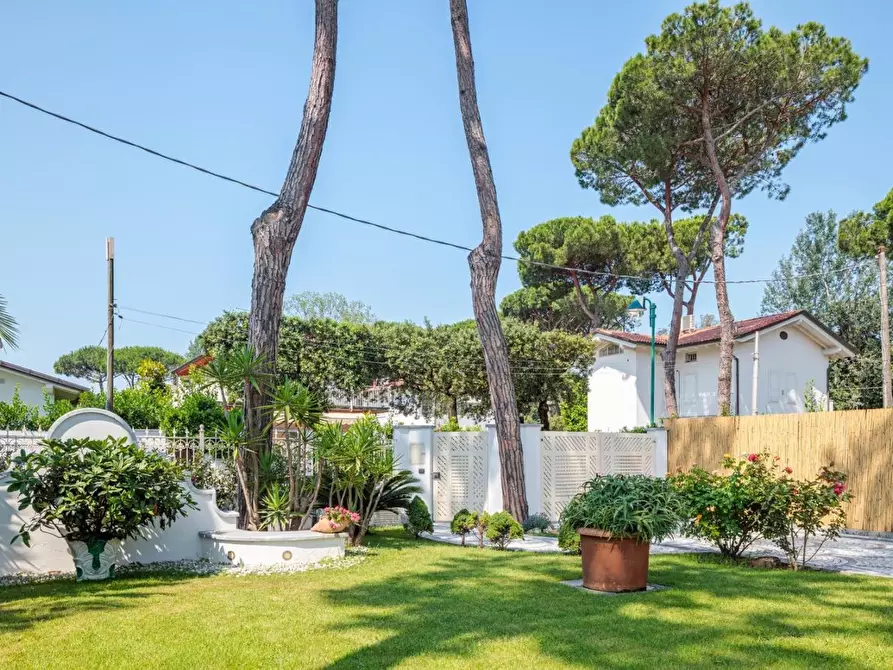 Immagine 86 di Villa in affitto  a Forte Dei Marmi