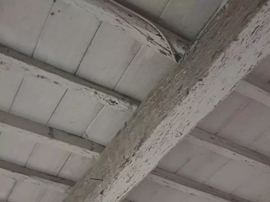 Immagine 6 di Magazzino in vendita  a Buti