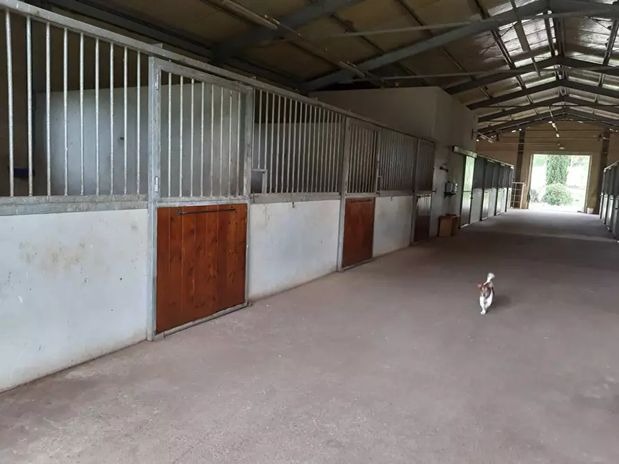 Immagine 24 di Casa colonica in vendita  a Monteriggioni