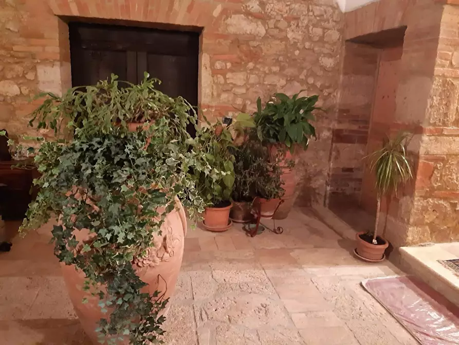 Immagine 30 di Casa colonica in vendita  a Monteriggioni