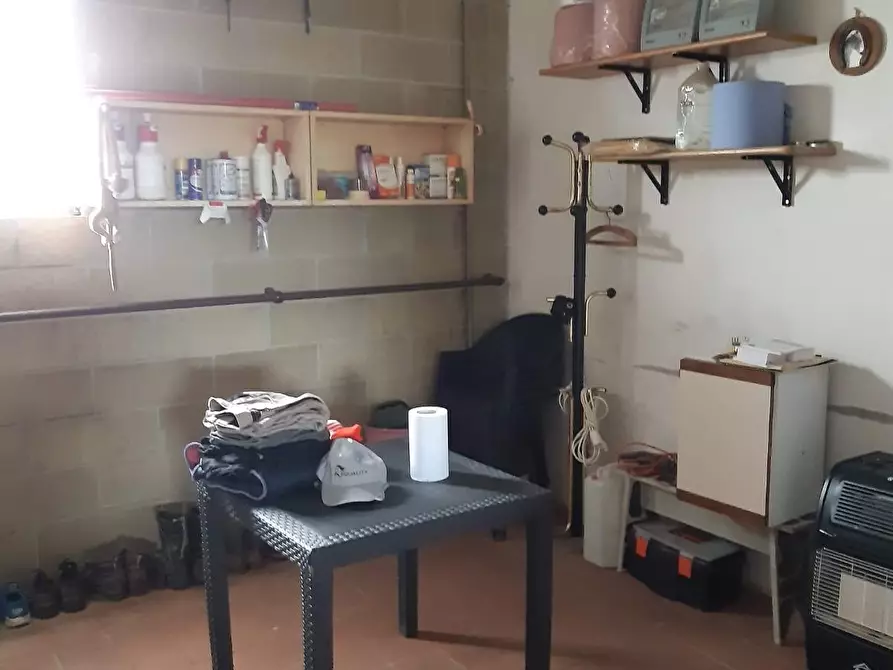 Immagine 31 di Casa colonica in vendita  a Monteriggioni