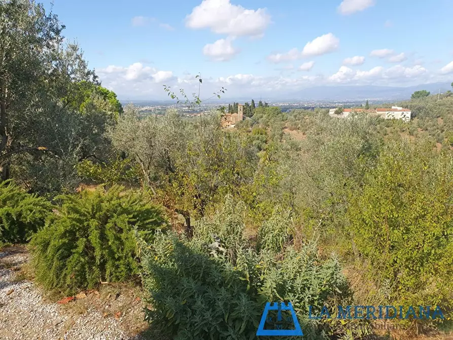 Immagine 20 di Casa indipendente in vendita  a Vinci