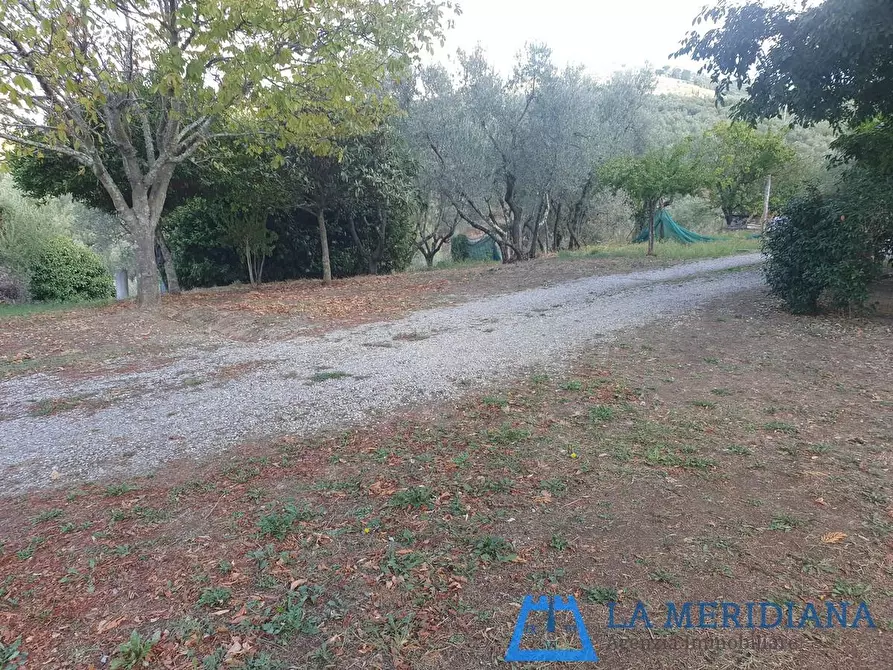 Immagine 19 di Casa indipendente in vendita  a Vinci