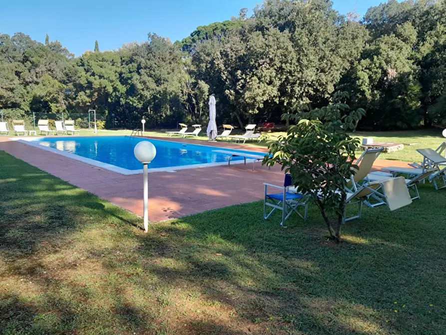 Immagine 7 di Appartamento in vendita  a Livorno