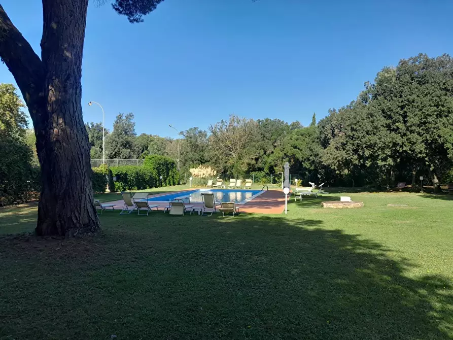 Immagine 9 di Appartamento in vendita  a Livorno