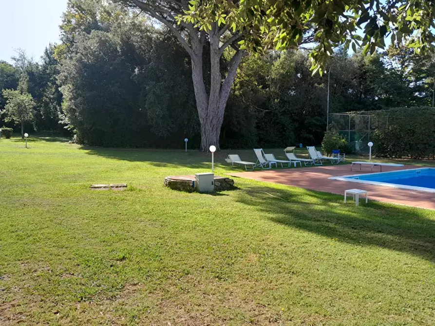 Immagine 6 di Appartamento in vendita  a Livorno