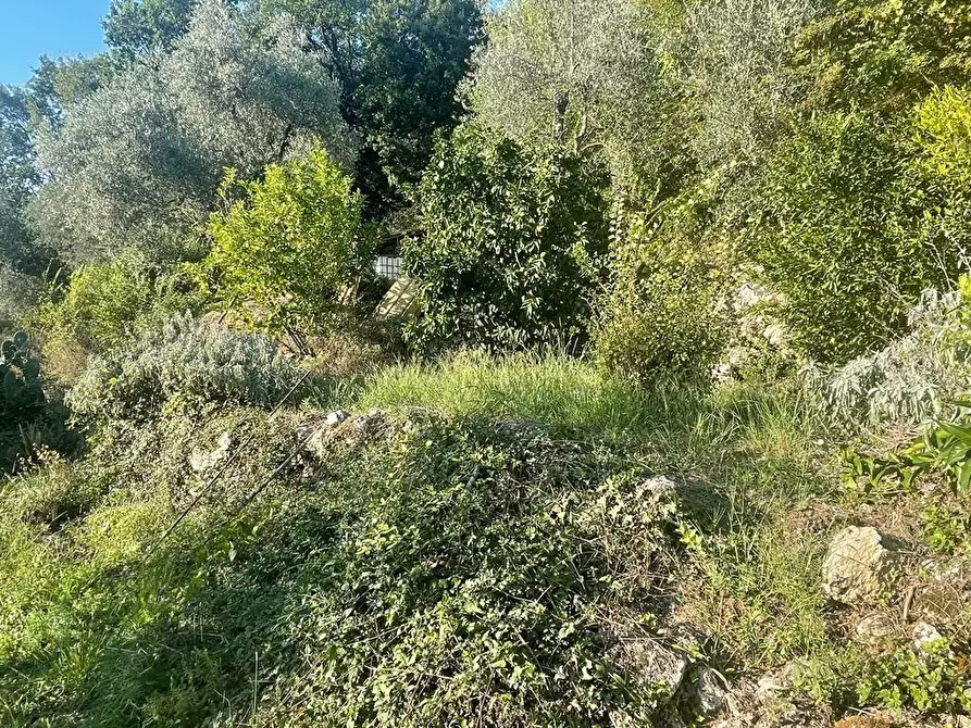 Immagine 51 di Casa indipendente in vendita  a Massa