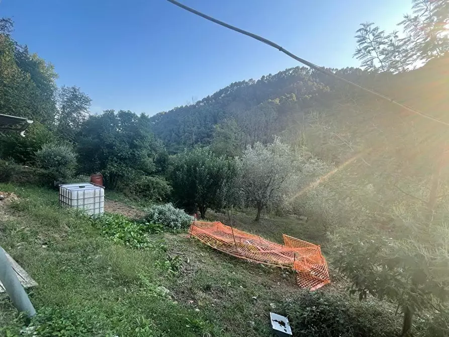 Immagine 47 di Casa indipendente in vendita  a Massa