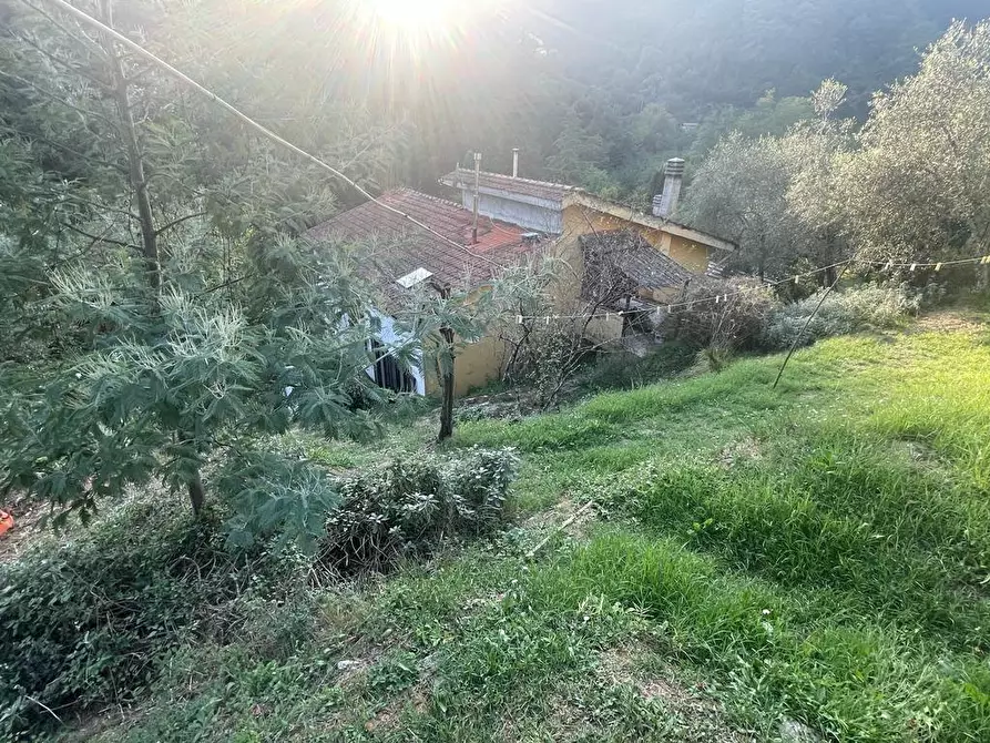 Immagine 48 di Casa indipendente in vendita  a Massa