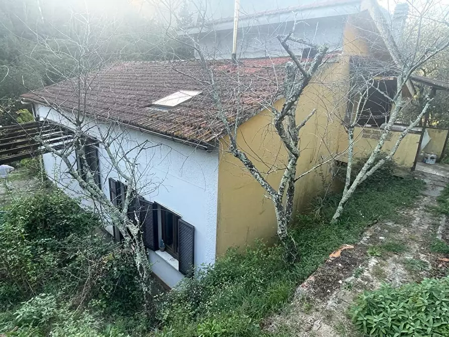 Immagine 50 di Casa indipendente in vendita  a Massa