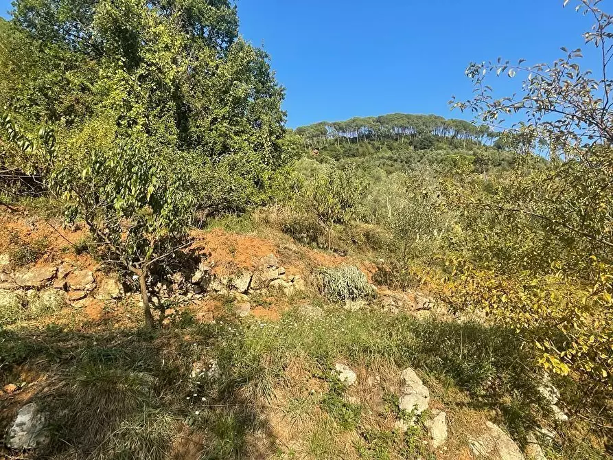 Immagine 41 di Casa indipendente in vendita  a Massa