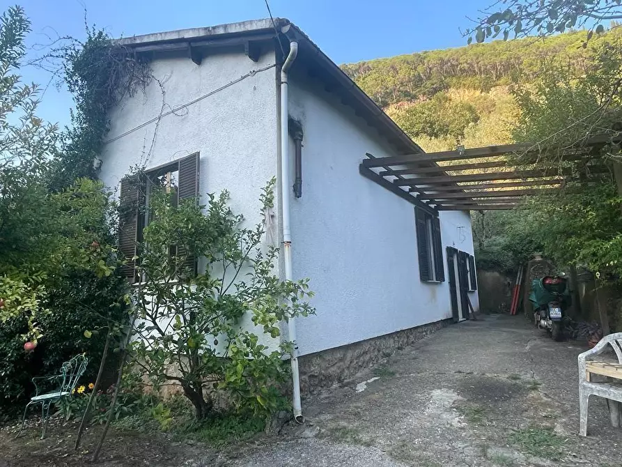 Immagine 53 di Casa indipendente in vendita  a Massa