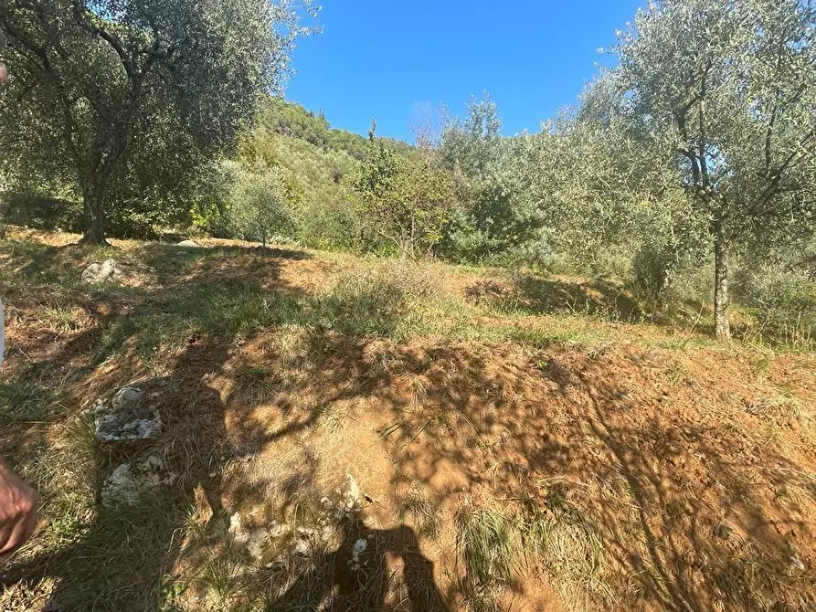 Immagine 39 di Casa indipendente in vendita  a Massa