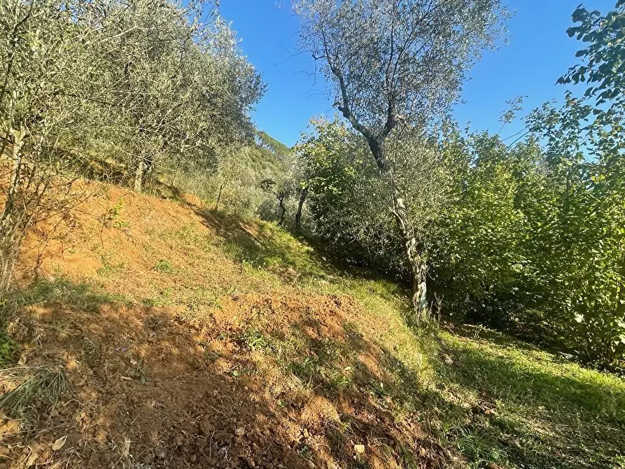 Immagine 37 di Casa indipendente in vendita  a Massa