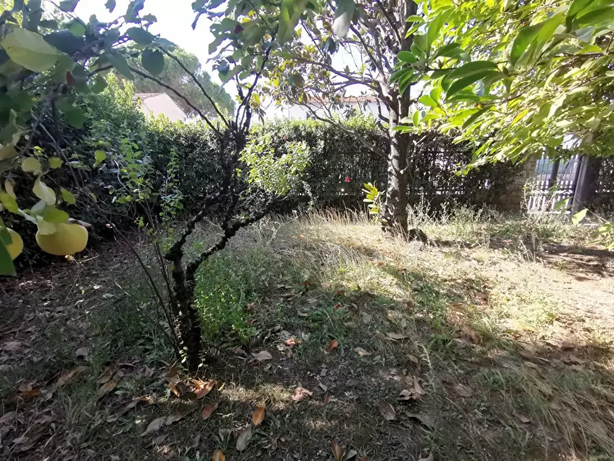 Immagine 10 di Casa indipendente in vendita  a Fucecchio