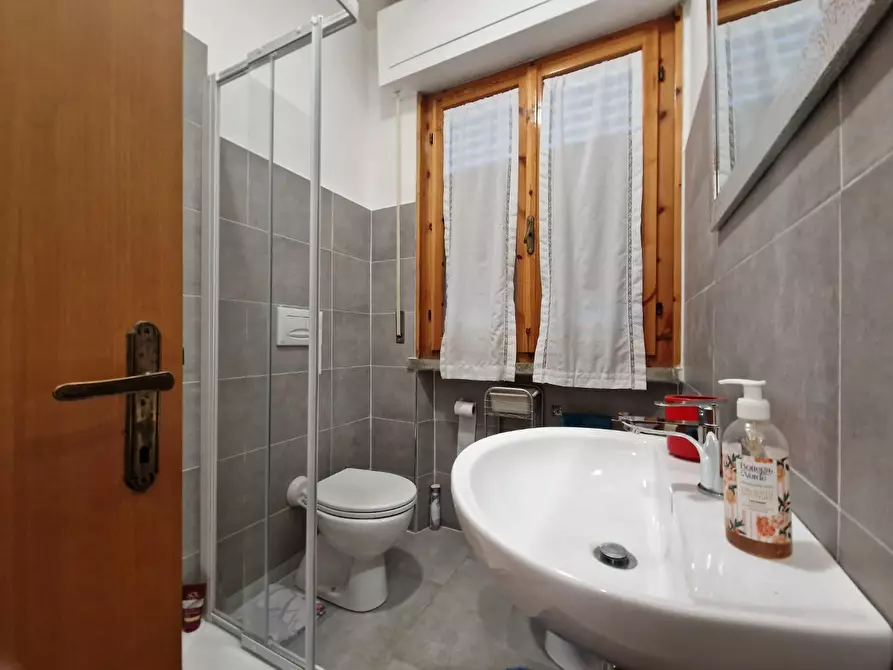 Immagine 11 di Appartamento in vendita  a Rosignano Marittimo