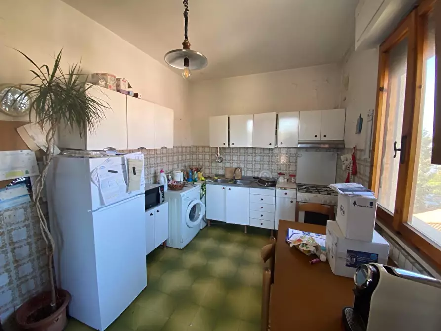 Immagine 4 di Appartamento in affitto  a Pisa