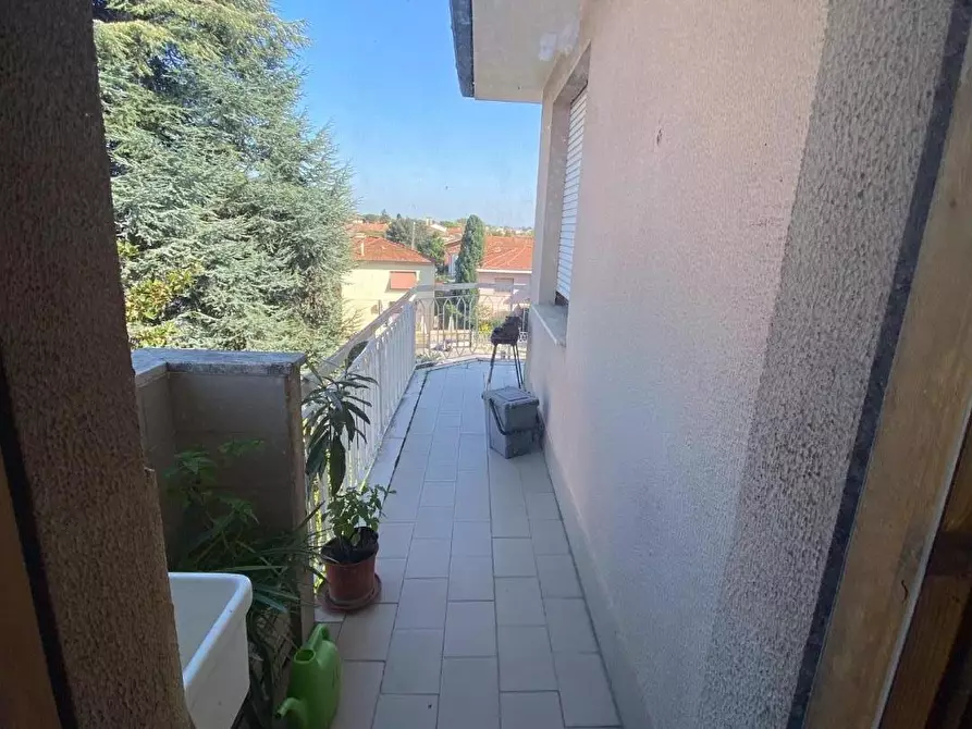 Immagine 5 di Appartamento in affitto  a Pisa