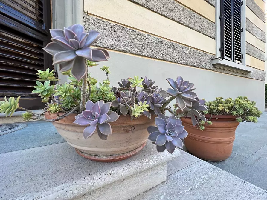 Immagine 5 di Villa in vendita  a Castelfiorentino