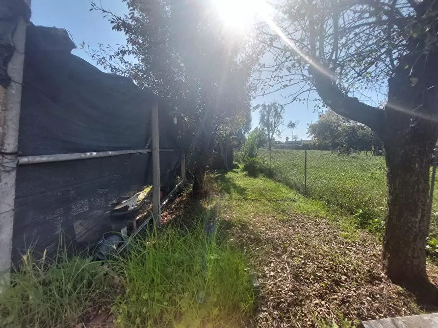 Immagine 22 di Appartamento in vendita  a Pietrasanta