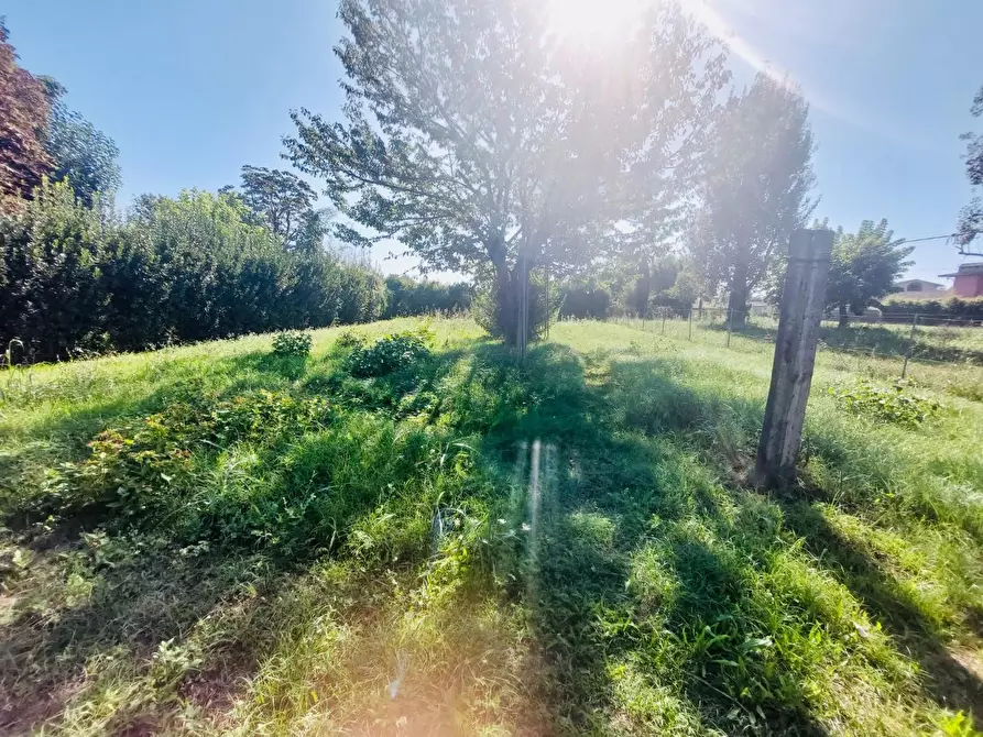 Immagine 18 di Appartamento in vendita  a Pietrasanta