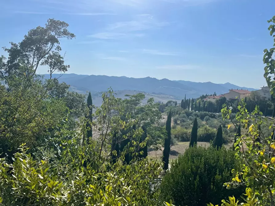 Immagine 3 di Appartamento in vendita  a Pomarance