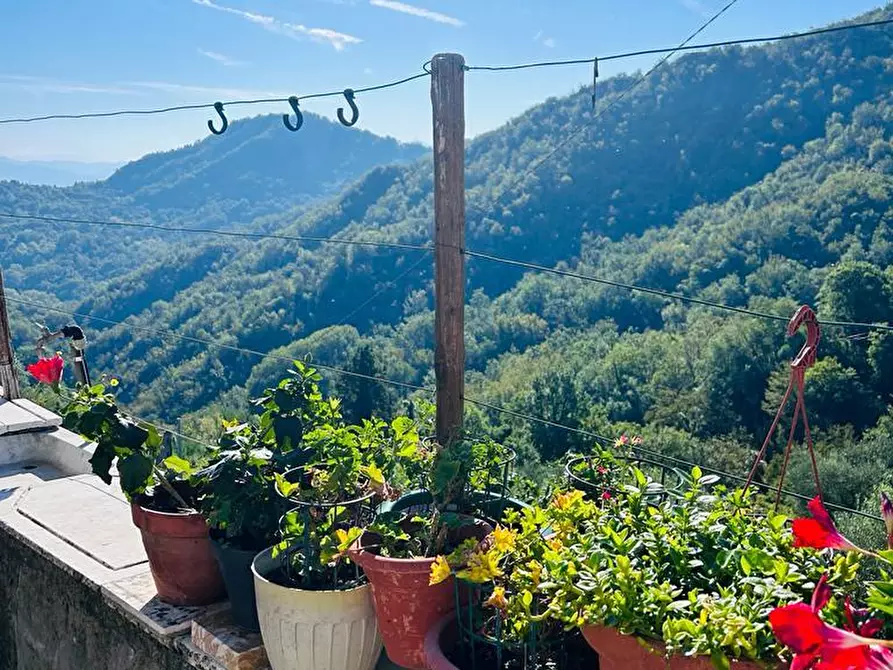 Immagine 13 di Casa semindipendente in vendita  a Tresana