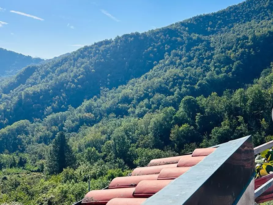 Immagine 11 di Casa semindipendente in vendita  a Tresana