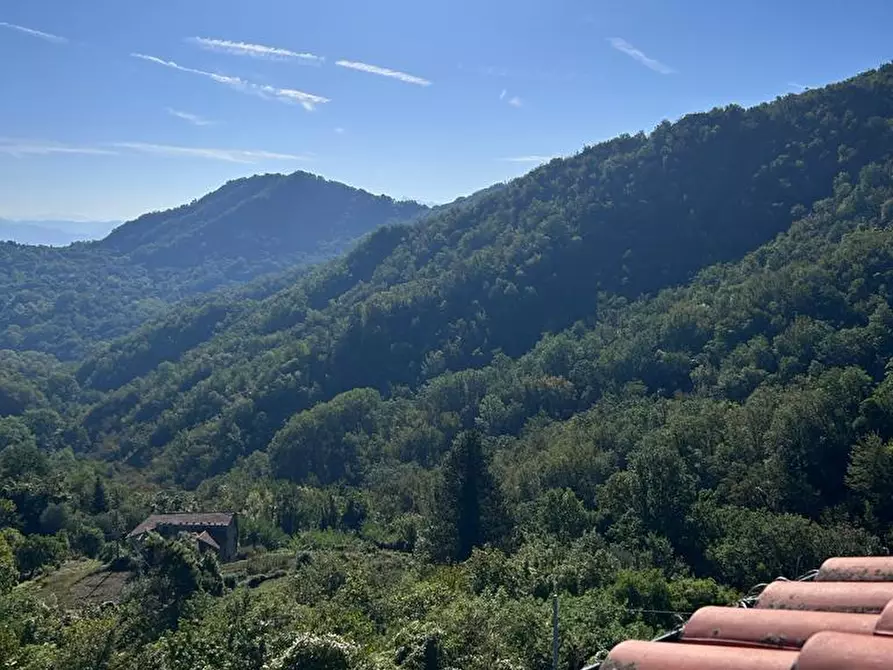 Immagine 10 di Casa semindipendente in vendita  a Tresana