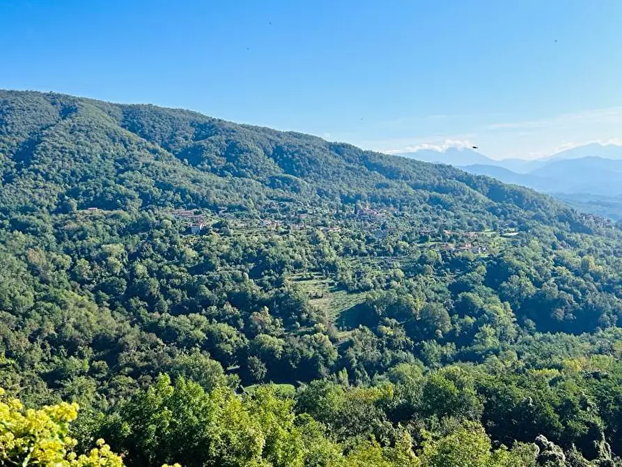 Immagine 9 di Casa semindipendente in vendita  a Tresana