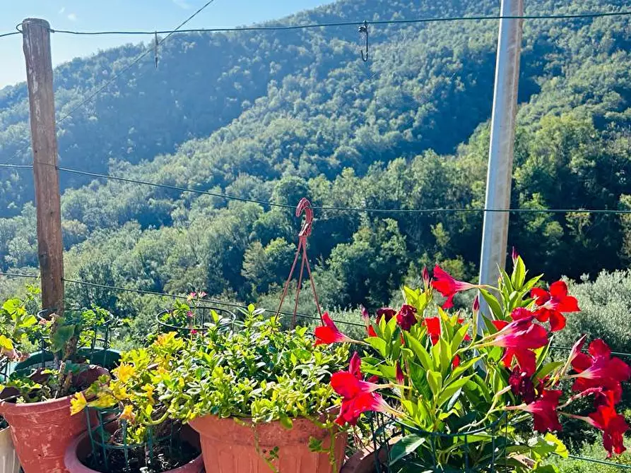 Immagine 12 di Casa semindipendente in vendita  a Tresana