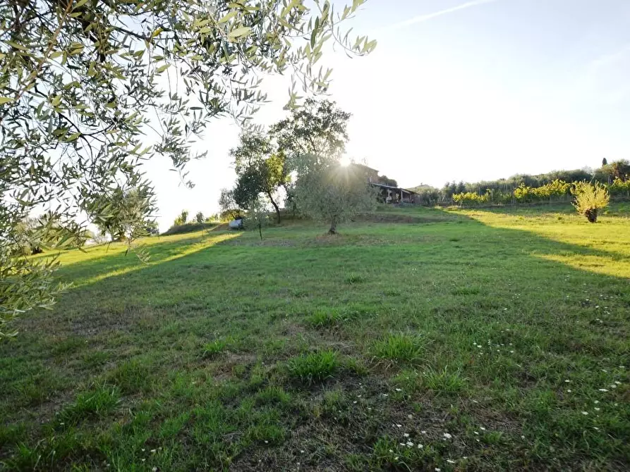Immagine 14 di Rustico / casale in vendita  a Montecarlo