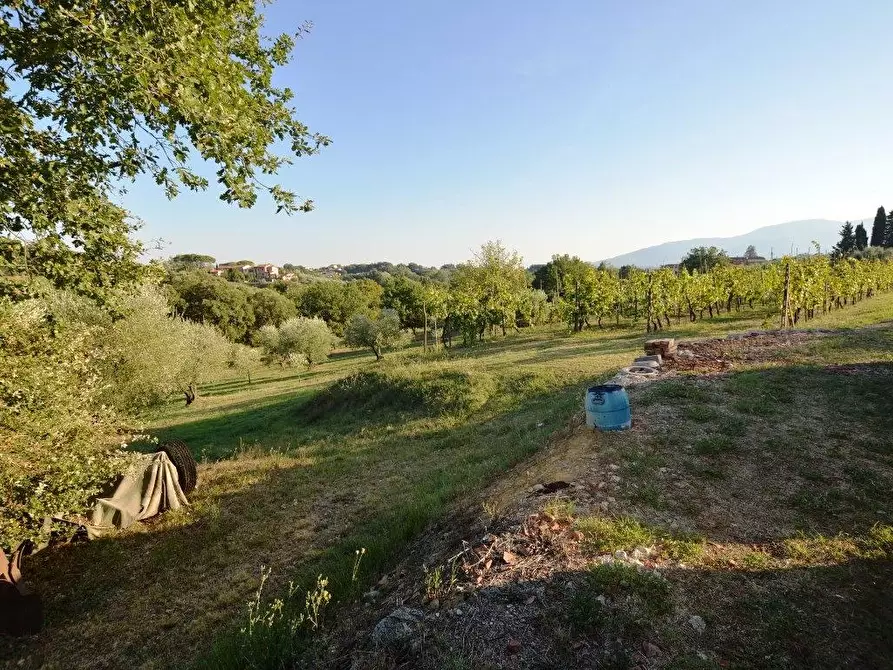 Immagine 21 di Rustico / casale in vendita  a Montecarlo