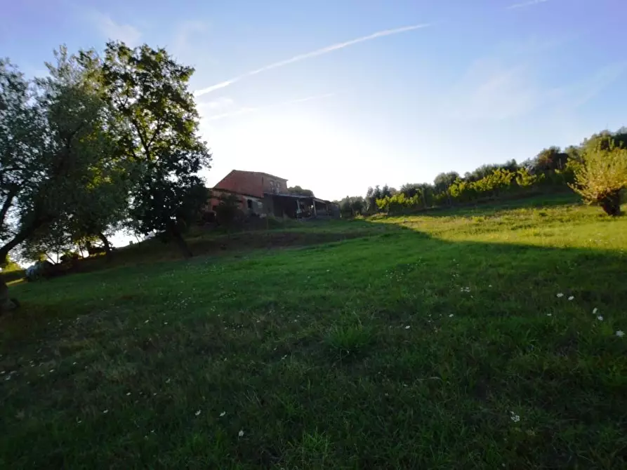 Immagine 15 di Rustico / casale in vendita  a Montecarlo