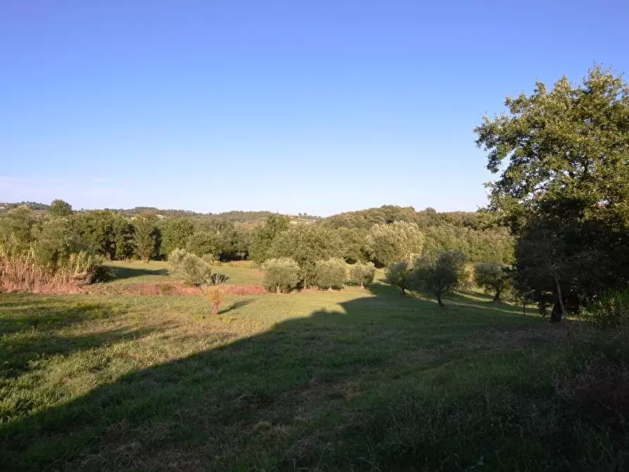 Immagine 6 di Rustico / casale in vendita  a Montecarlo