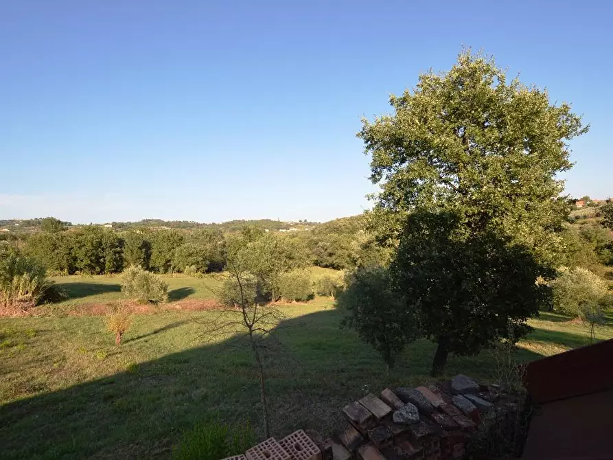 Immagine 8 di Rustico / casale in vendita  a Montecarlo