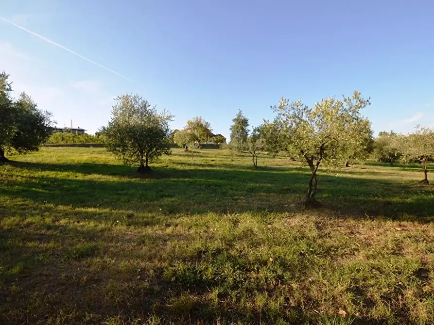 Immagine 11 di Rustico / casale in vendita  a Montecarlo