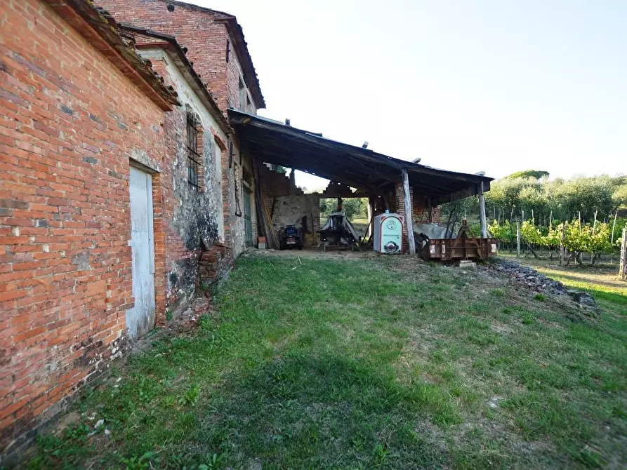 Immagine 5 di Rustico / casale in vendita  a Montecarlo