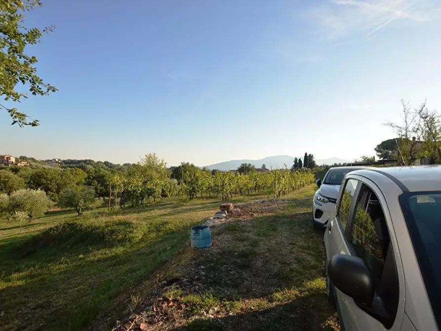 Immagine 20 di Rustico / casale in vendita  a Montecarlo