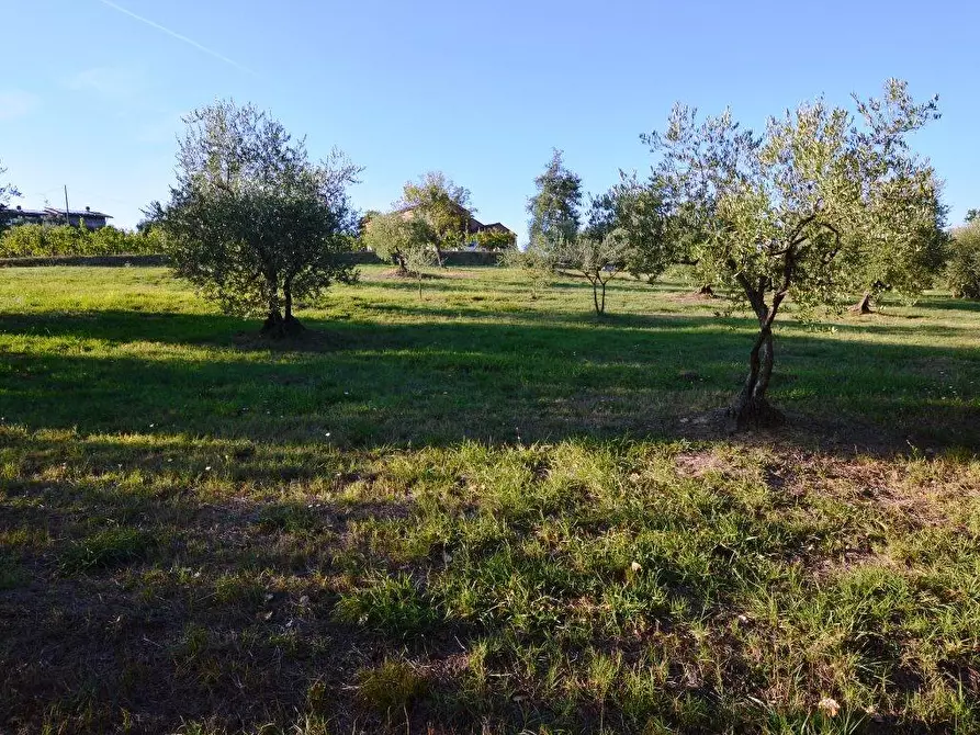 Immagine 12 di Rustico / casale in vendita  a Montecarlo